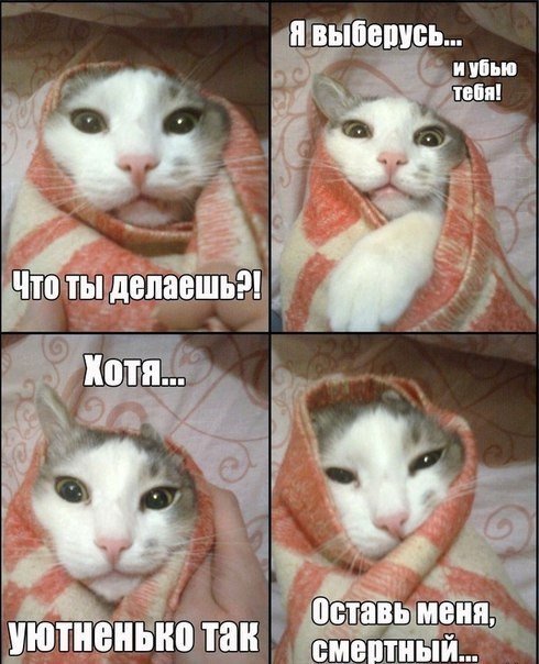 Всякие картинки, для расслабиться от всего вот этого...