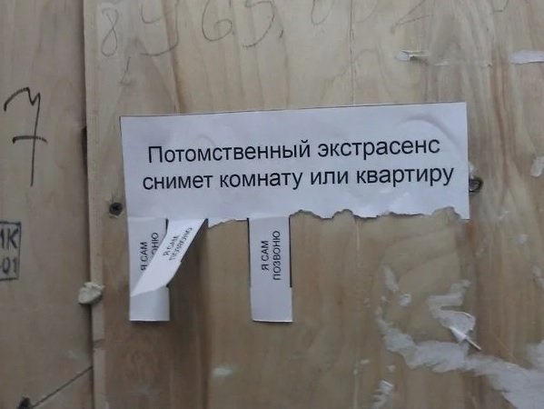 Профессионал своего дела