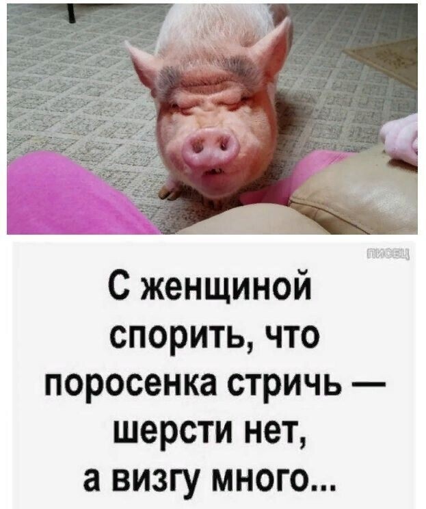 Юмор в картинках и без