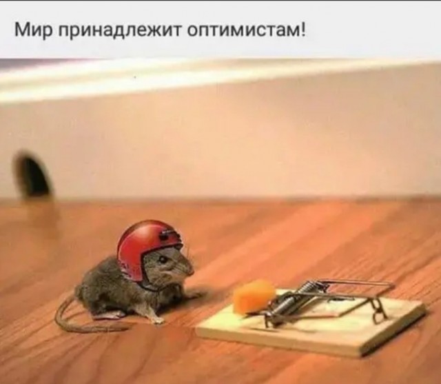 Картинки и мемы для настроения - 119