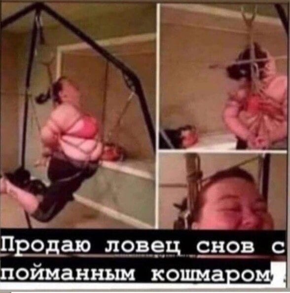 Гартеры