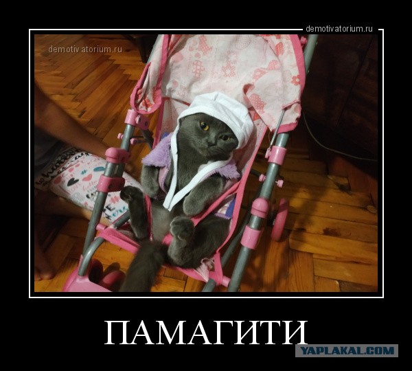 Одной дочери - образование, другой - квартиру. Младшая считает, что несправедливо