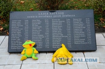 Скабеева требует наступления