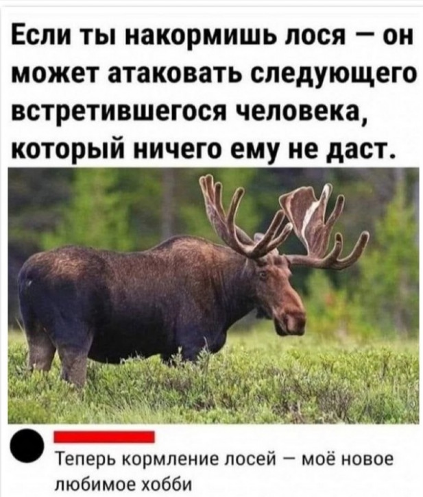 Каждый охотник желает знать...