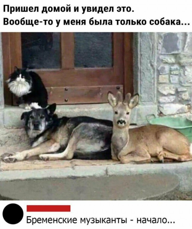 Картинки и мемы, всем хороших выходных