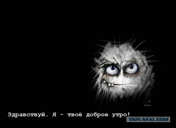 Хомяки делают неназываемое.