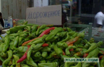 Приколы из Казахстана