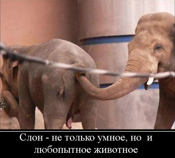 Нуштош 11.03.23
