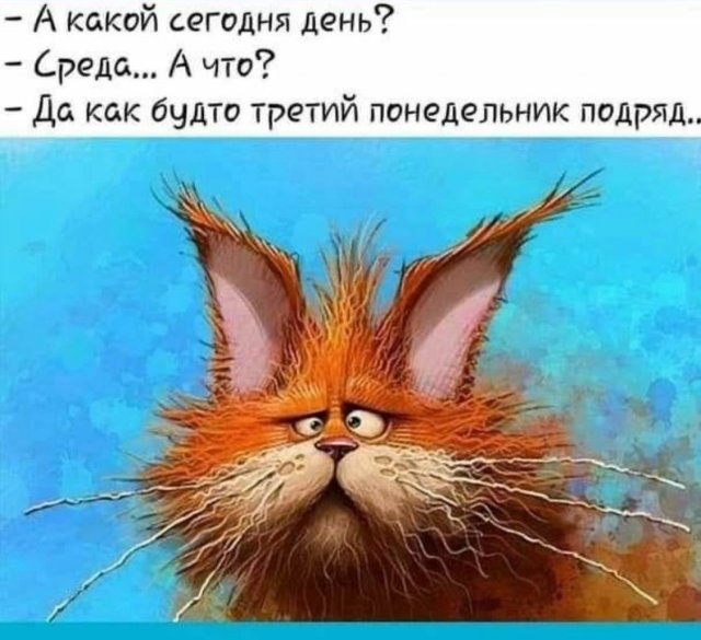 Картинки и мемы, всяко разно - 171