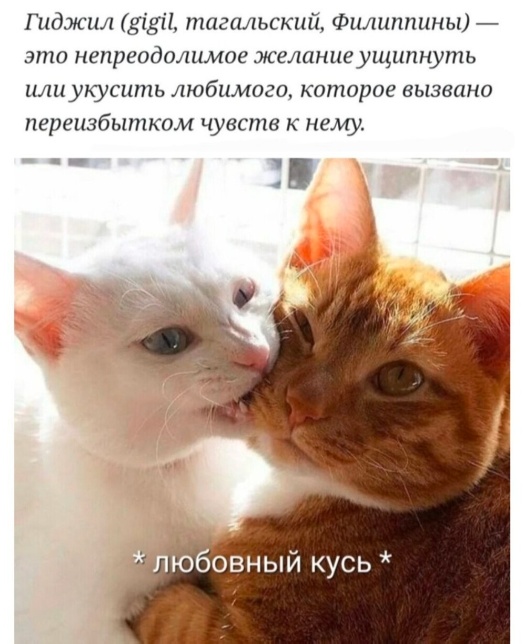 Так себе картинки 14.06.23