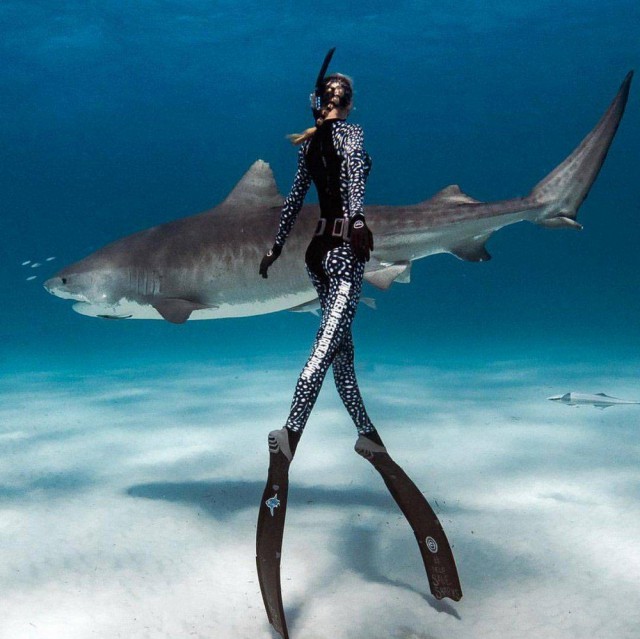 16 зловещих глубоководных фотографий, при виде которых задрожат коленки даже у опытных дайверов