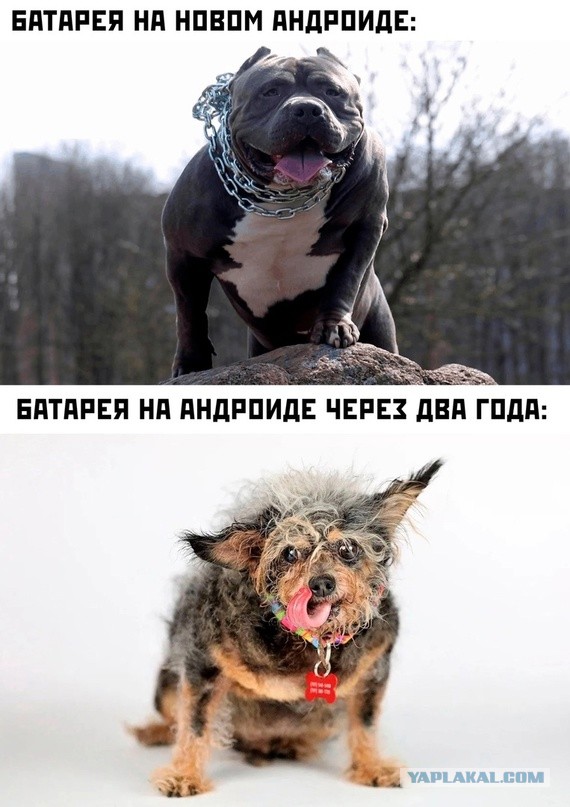 Скупка краденого из сети 08-08-2023