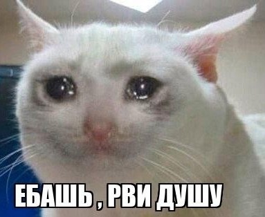 Прости, читатель. У тебя осталось 20 часов
