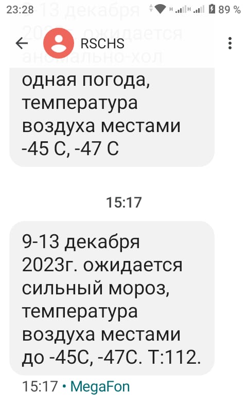 Жизнь домашнего приюта для котеек 473