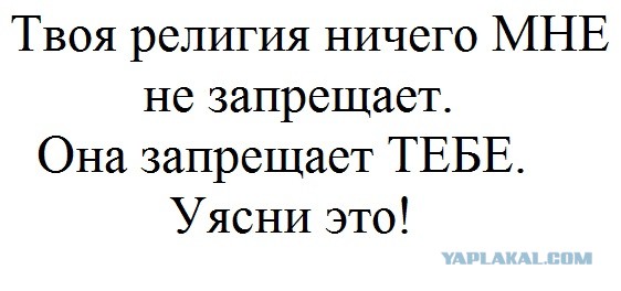 Депутат Госдумы Султан Хамзаев обратился к Михаилу Мишустину с предложением запретить продажу алкоголя в дни майских праздников