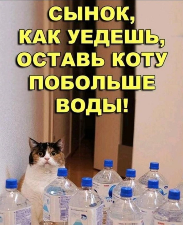 К котовторнику: подборка картинок-баянов с котиками и про котиков. Выпуск 11