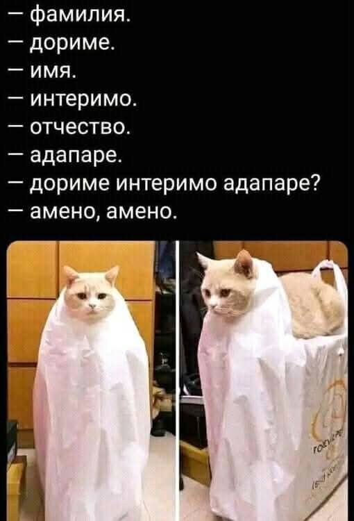 Маленькая пятница 11.06