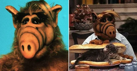 Что жрёшь жиробасина?
