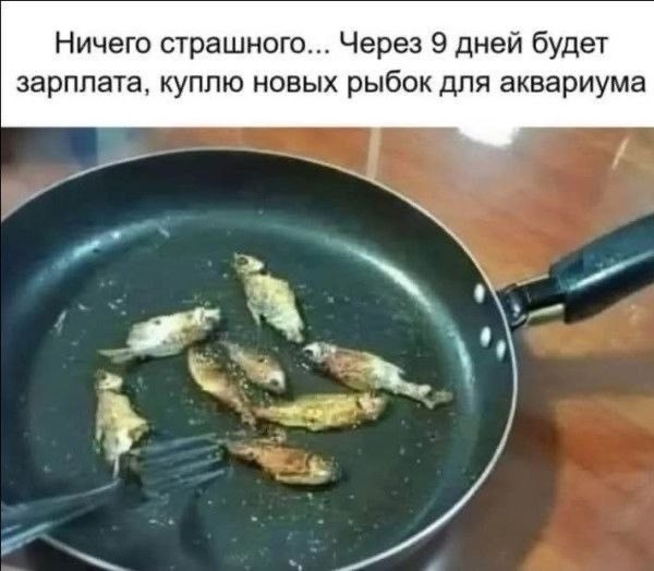 Общественники предложили выдавать молодежи квартиру за обещание прожить вместе 10 лет и родить детей