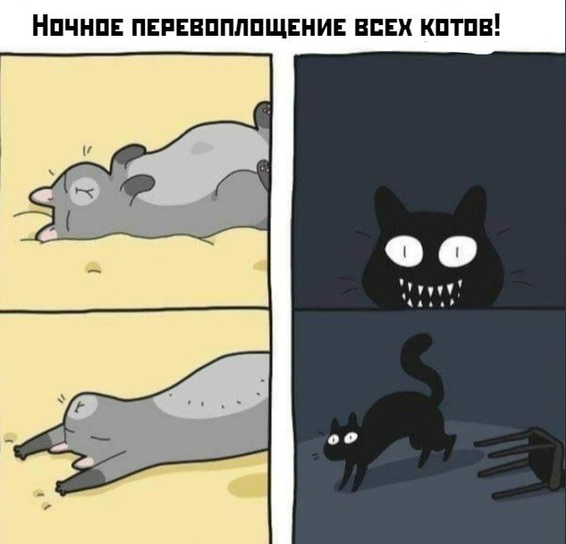 Прикольные и просто красивые картинки 25.11.2025