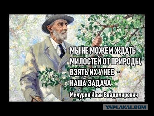 Минчанин закопал в землю корм для попугая и стал фигурантом уголовного дела