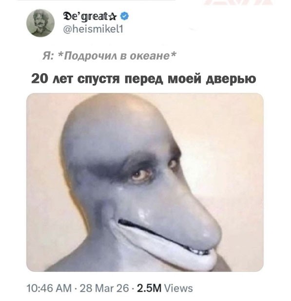 Картинки для деградации 240 (разной степени свежести)