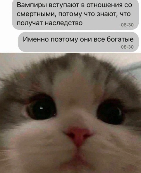 Картинки для деградации 268 (разной степени свежести)