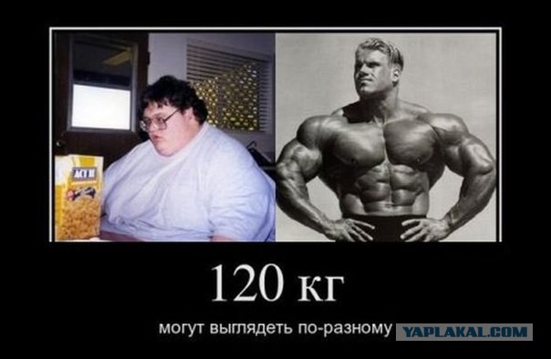 Одинаковый вес может выглядеть по-разному