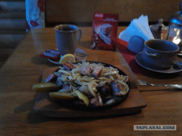 Где яблоки растут!