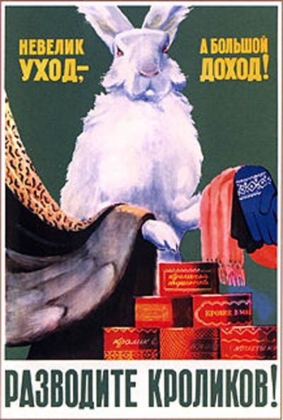 Правда про зайцев