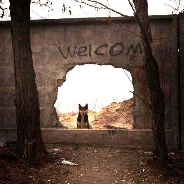 Просто забавные фотки из мобильника