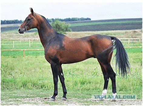 Туркмения