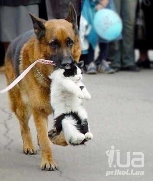 Чёрт, чёрт, чёрт!