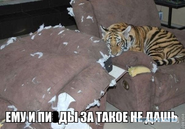 Надписи и объявления с просторов