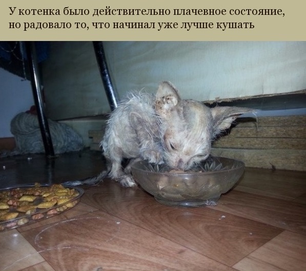 Потеряшки: Было - Стало