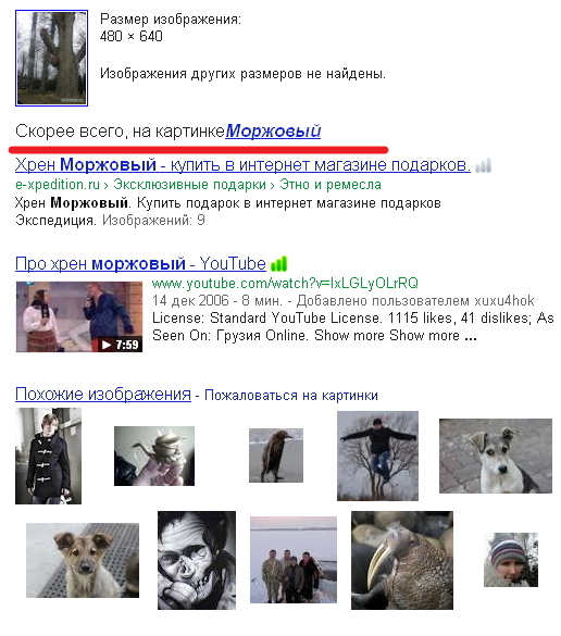 Вековой стояк