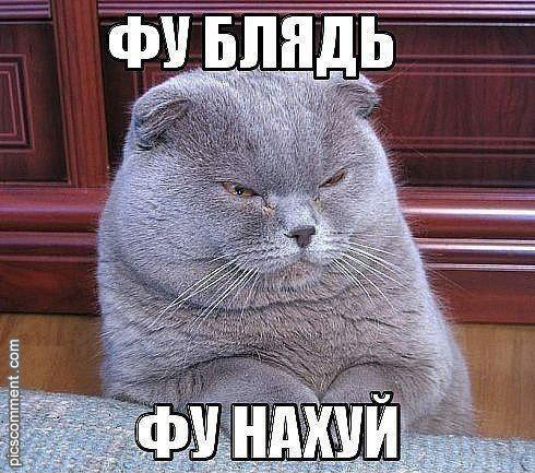 Бомбейские протистутки