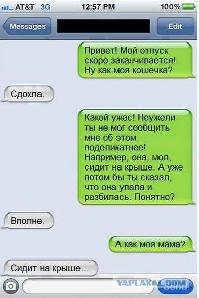 Смешные комментарии из социальных сетей