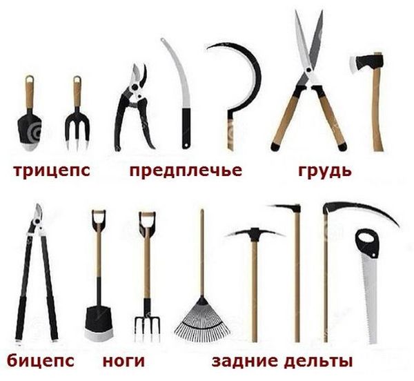 Бич современного бодибилдинга