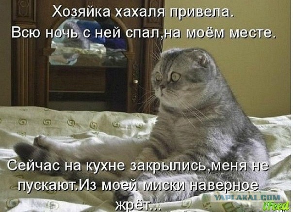 Минутка шизофрении