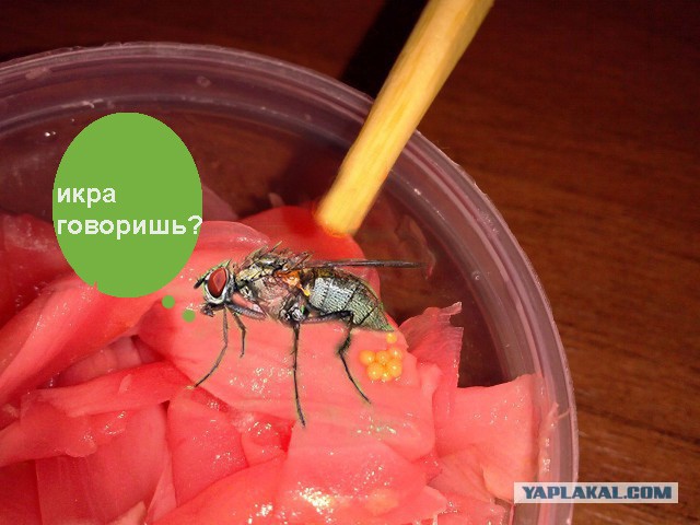 Провокационные фото