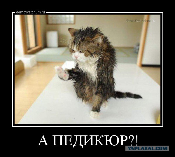 Смешные картинки №...дцать