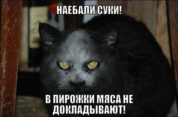 Помогал готовить пирожки