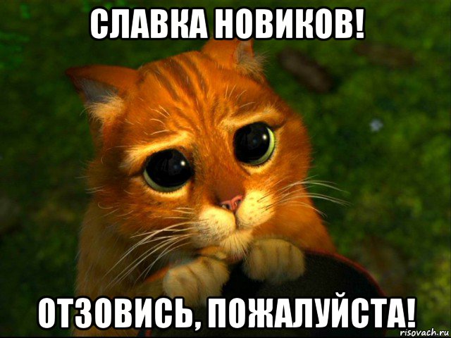 У меня грустные новости для соЯПовца. Слава Новиков тут есть?