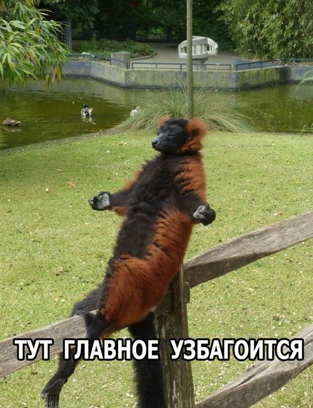 Подборка Картинок из сети