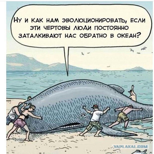 33 трогательных момента