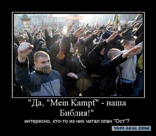 Курская Дуга. Случайное совпадение или игра ва-банк?