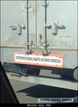 Демотиваторы на пятницу!