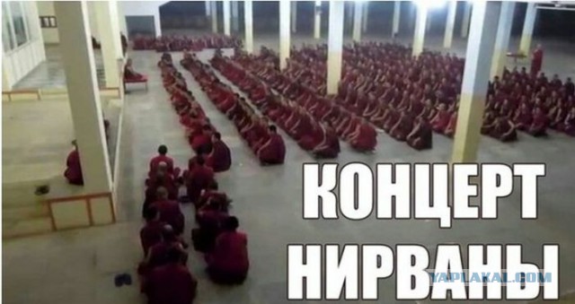 Абсурдный юмор ч.20