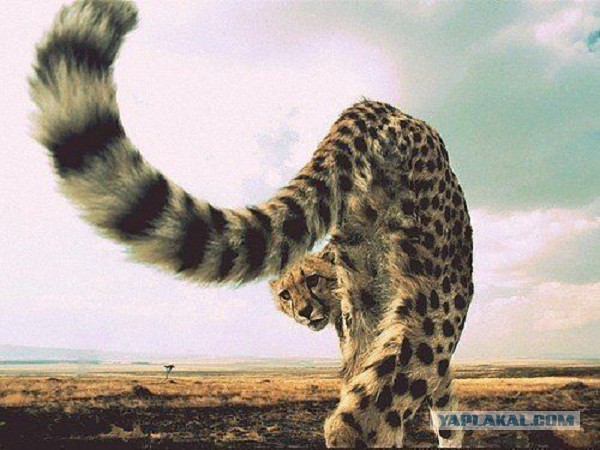 Всем нашим встречам,  увы, разлуки суждены...